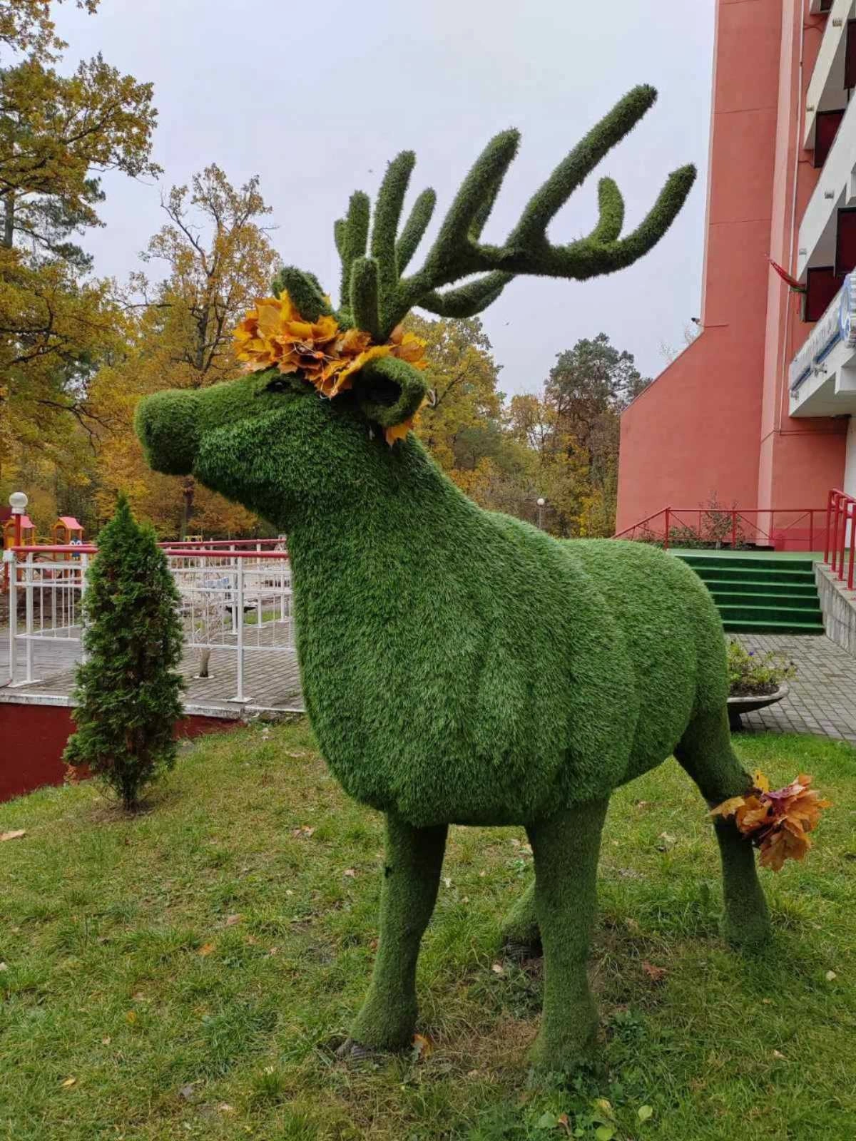 Санаторий лето